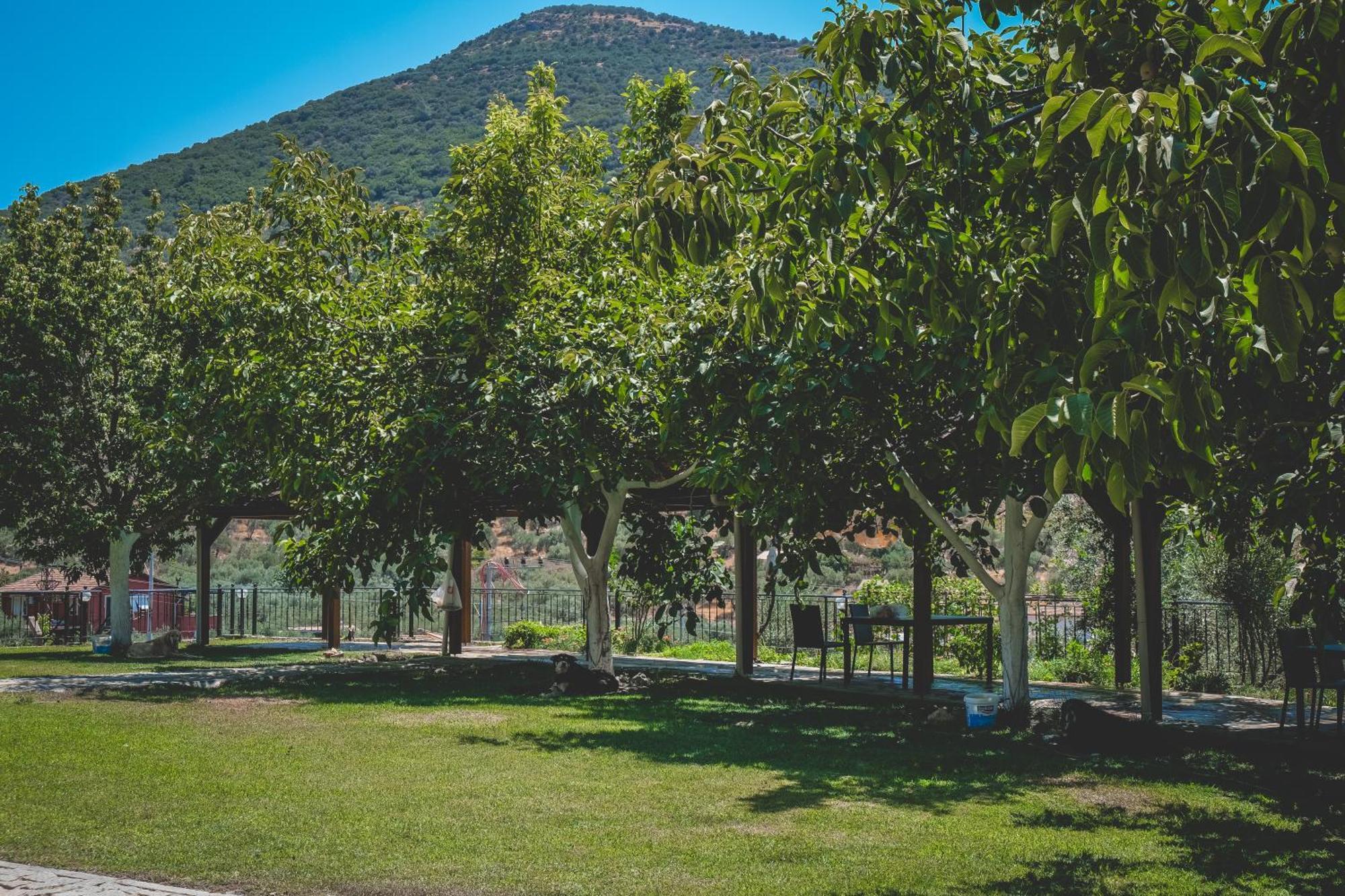 Natureland Efes Pension Selçuk Exterior foto